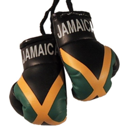 Jamaica jamaican Boxing Glove Mini Banner Flag Car Rearview Mirror Map Island WI 