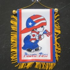 Puerto Rico Boy Mini Banner