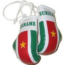personalized mini boxing gloves